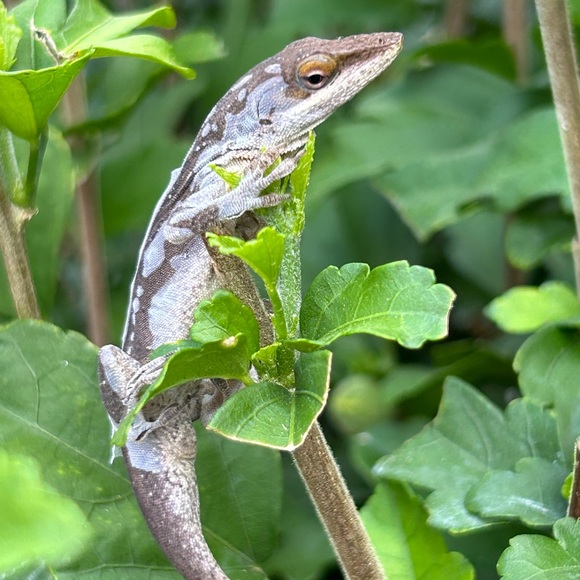 About me Photos🥳🥳❌❌ - Picture 9 of 14